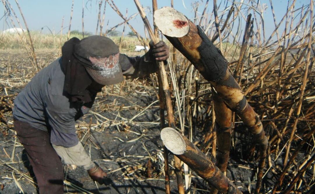 Foto: Archivo / EL UNIVERSAL 