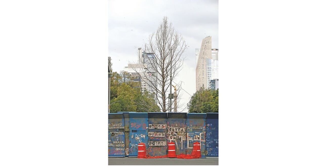 El ahuehuete fue protegido con una valla metálica para darle oportunidad de que se adapte, reconocieron autoridades.