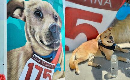 FOTOS: "El Chicles", perrito maratonista, ya tiene su mural en Tijuana