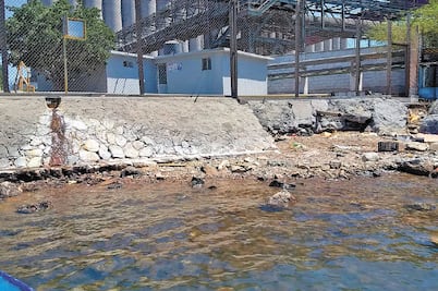 Denuncian muerte de especies por derrame