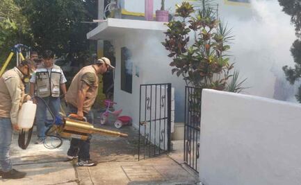 Confirman más de 200 casos de dengue en Tamaulipas