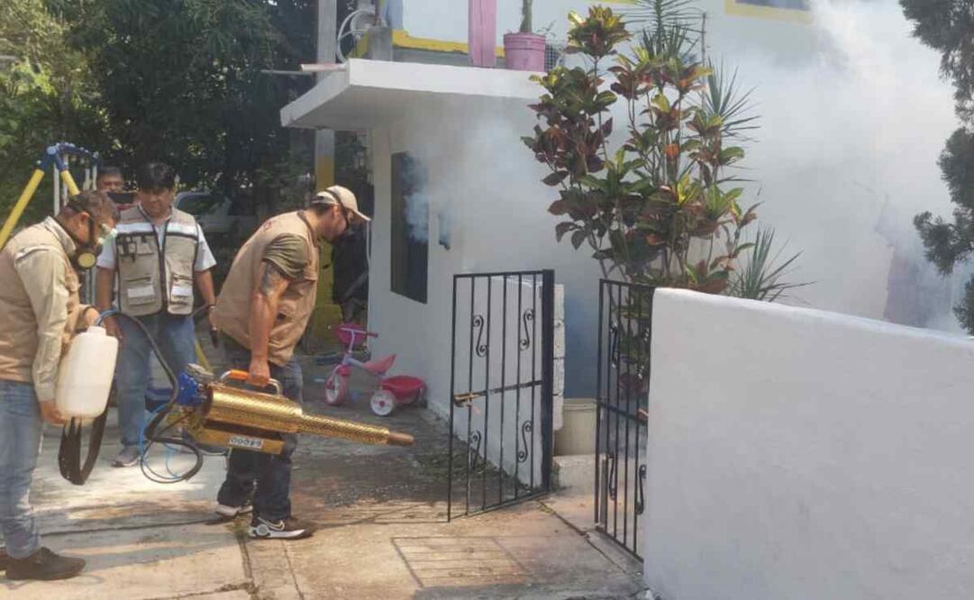 El comportamiento del dengue en Tamaulipas se considera endémico, debido a sus condiciones geográficas y ambientales. Foto: Especial