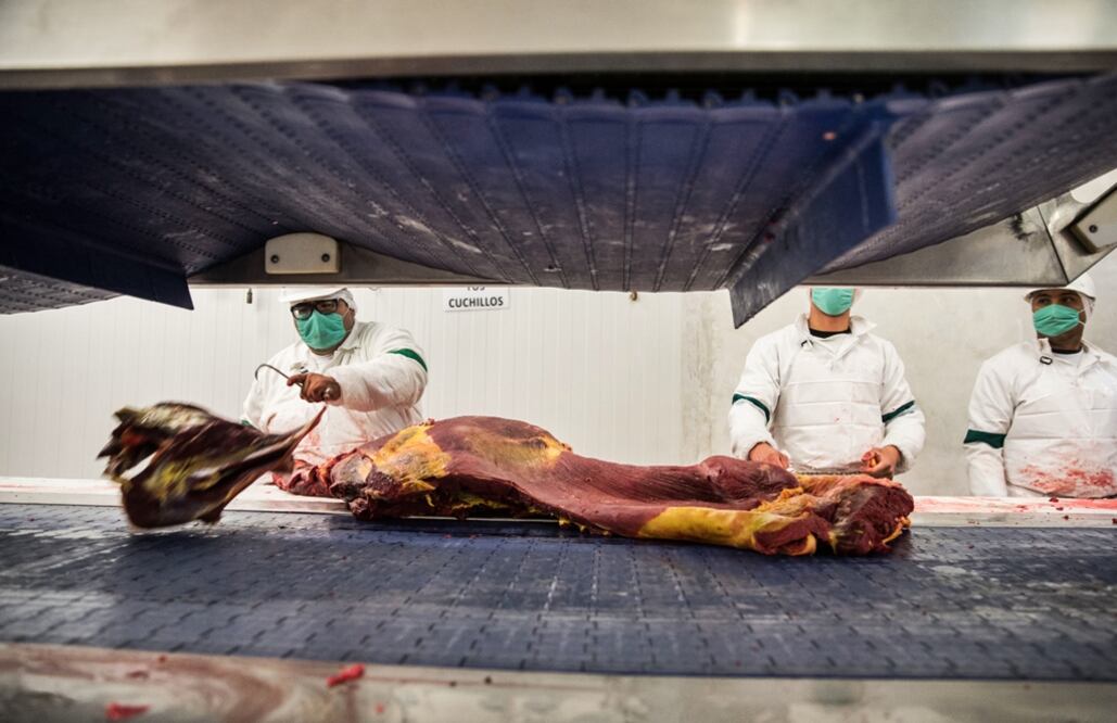 En filete, hamburguesa, guisado con tocino, hervido con sal y pimienta, o hasta en sashimi, la carne de caballo es considerado un producto “gourmet” en los países europeos y asiáticos que se ha posicionado en el gusto del paladar de estos comensales. 