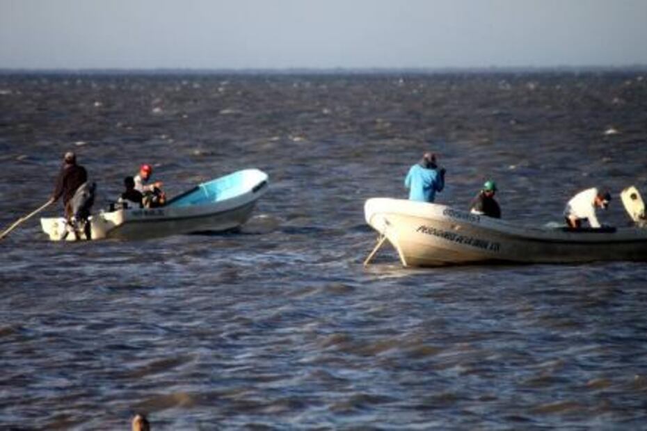 Pescadores de tiburón retaron al mar por necesidad; no volvieron