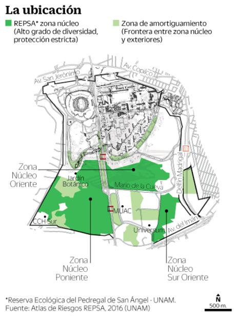 Al rescate de flora y fauna en CU