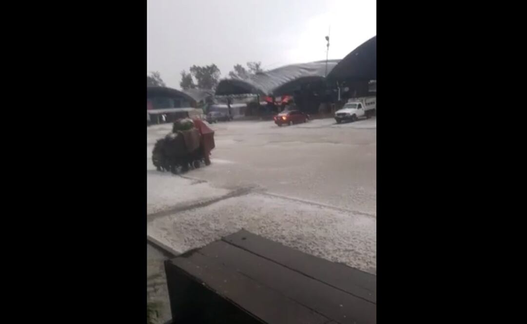 Foto: Captura de pantalla