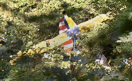 Avión se atora con árbol en Alemania 