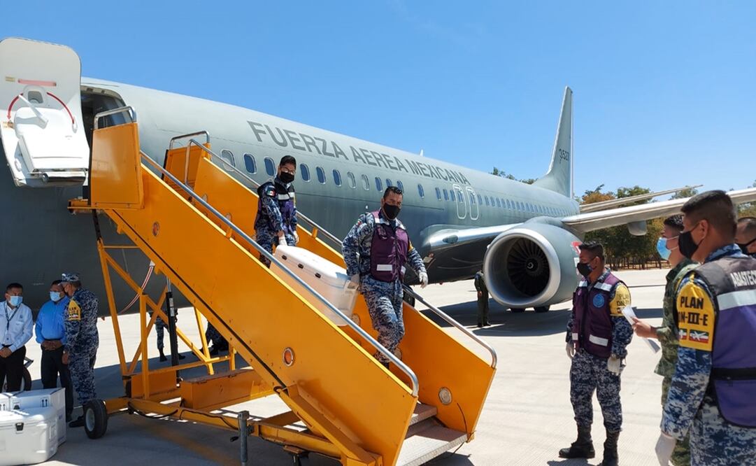 El biológico fue recibido este día de un vuelo de la Fuerza Aérea Mexicana. Foto: Especial