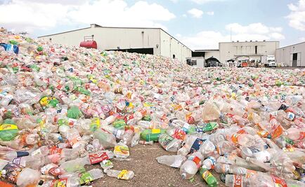 Ingieres más de 70 mil partículas de microplástico al año