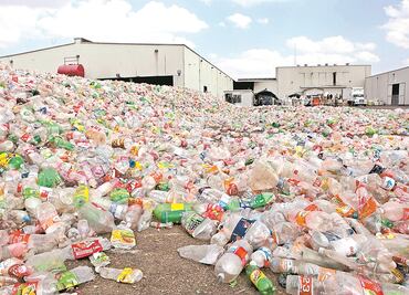 Ingieres más de 70 mil partículas de microplástico al año