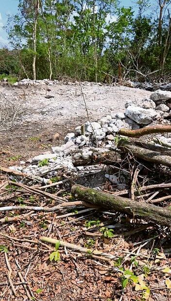 Zona con arquitectura maya afectada por las obras del Tramo 7 del tren.  Foto: Fernando Cortés