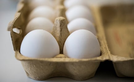 Lo que se sabe de los huevos contaminados en Europa