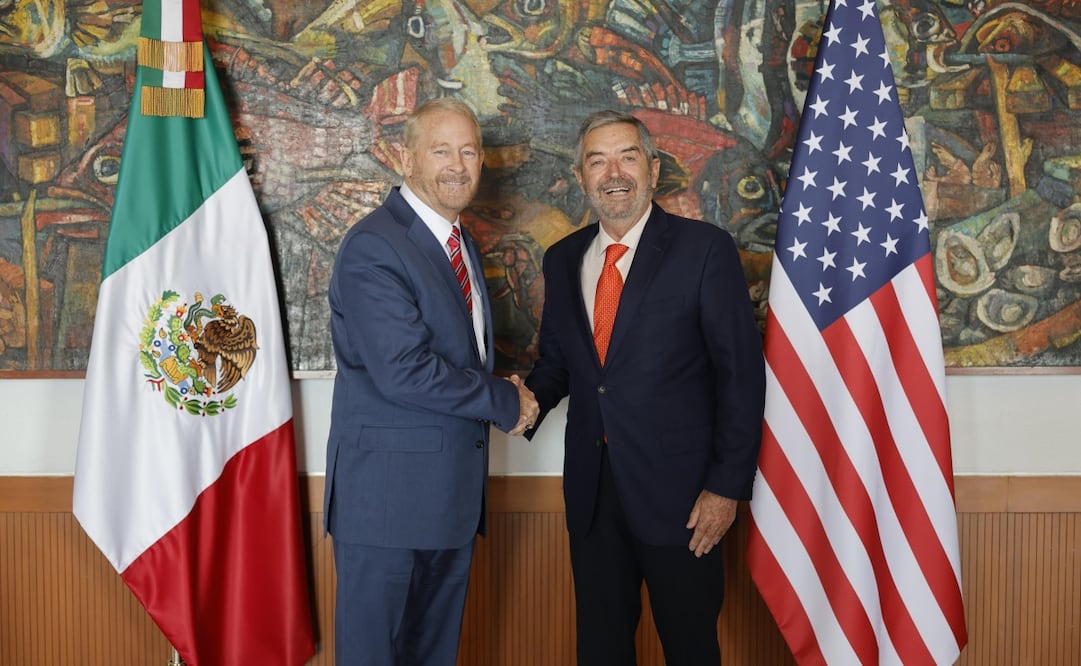 Embajador de EU en México, Ronald Johnson y canciller Juan Ramón de la Fuente. Foto: Especial