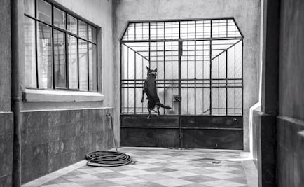 "Borras", el personaje más despreocupado de "Roma" tiene su cumbia