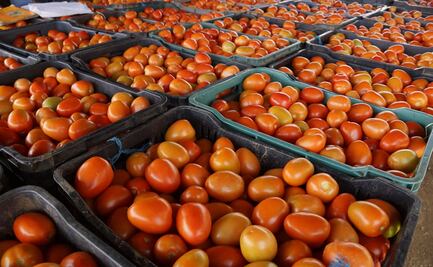 Inicia reinstalación de tianguis en alcaldía Iztacalco tras Covid-19