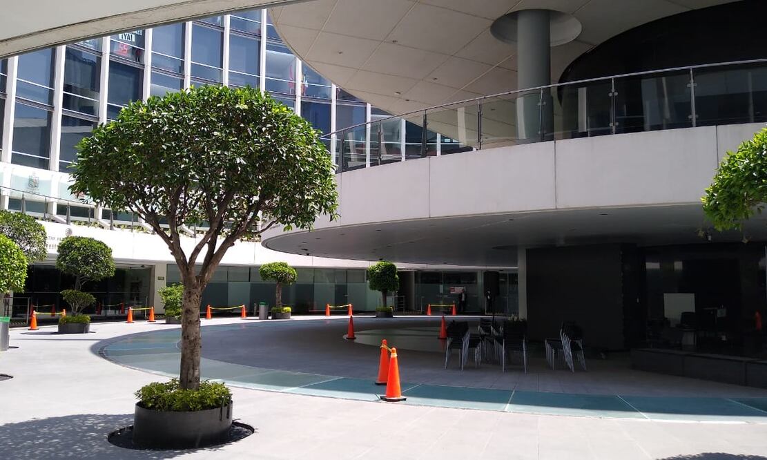 Foto: Juan Arvizu/EL UNIVERSAL