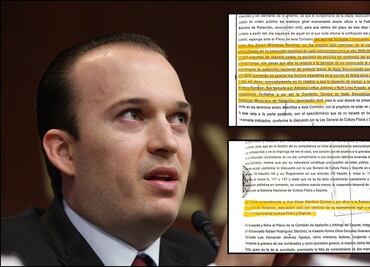 Once desacatos a la autoridad de Federación Mexicana de Natación