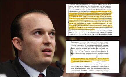 Once desacatos a la autoridad de Federación Mexicana de Natación