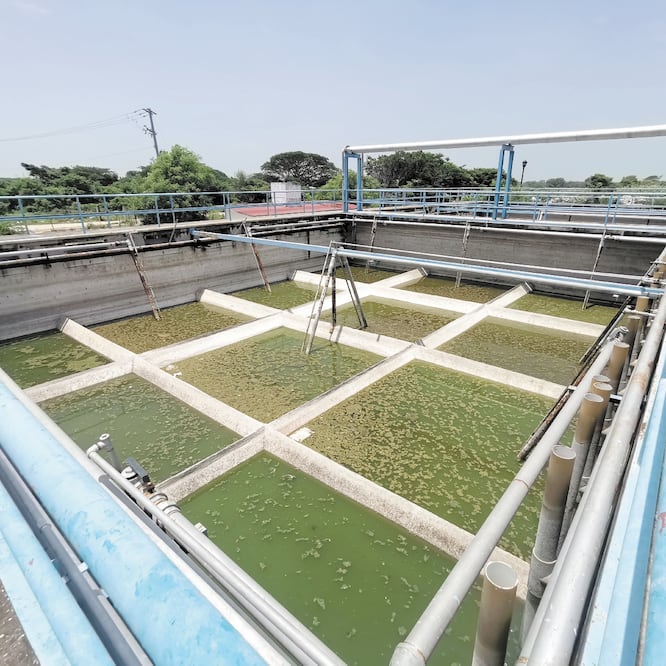 En total son 12 plantas de tratamiento de aguas las que no funcionan; se ubican en localidades por las que corren los ríos Tehuantepec y Las Nutrias. ROSELIA CHACA/EL UNIVERSAL