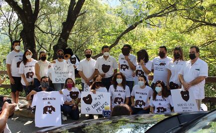 Ambientalistas piden no interactuar con osos de Chipinque para evitar su traslado