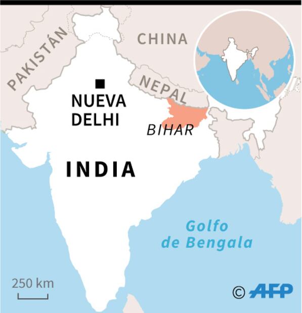 Mueren al menos 100 niños en la India por comer lichis