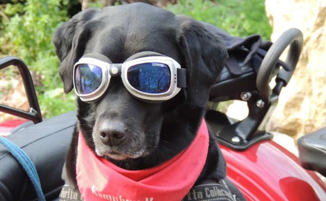 Se espera ambiente fresco a templado al amanecer. Foto: Archivo