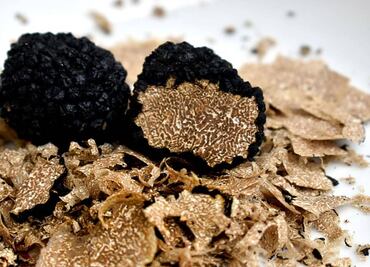 La trufa mexicana es una realidad