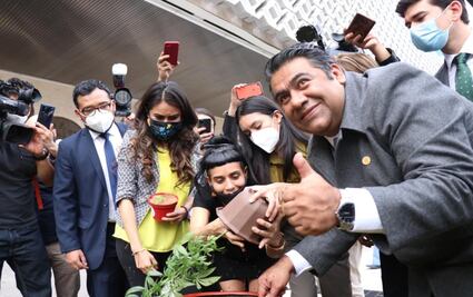 Siembra diputado mata de marihuana en explana de San Lázaro