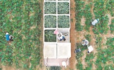 Alexander "Quichi" Villatoro se declara culpable en EU; admite explotación de trabajadores agrícolas