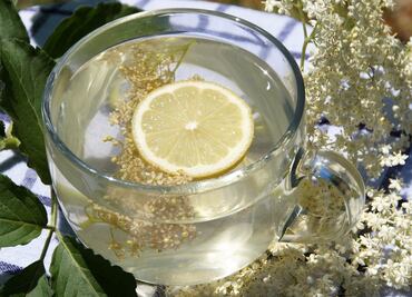 Resiste el resfriado con esta infusión de sauco