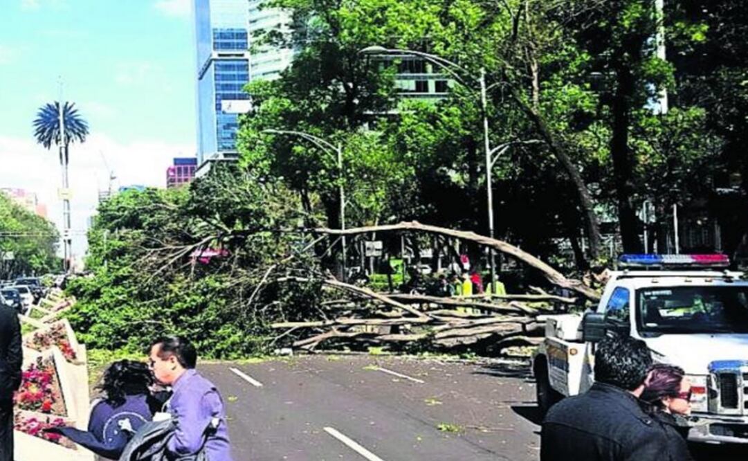 Viento afectó suministro eléctrico en 25 estados: CFE