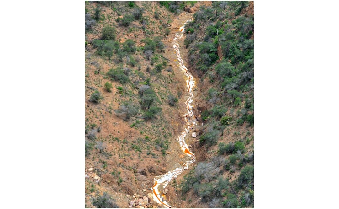 FOTO: Cortesía de Javier Escobar