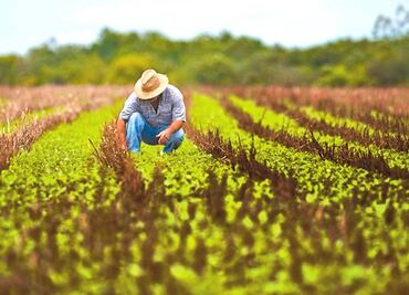 Reafirman México y EU importancia de la relación comercial agrícola