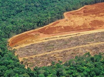 Cambio climático: los 5 países que más han contribuido al calentamiento global