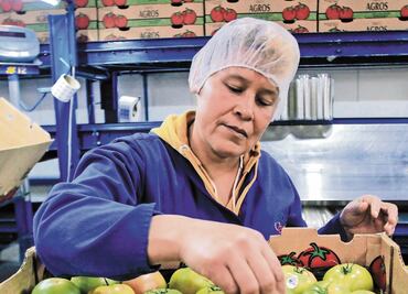 Jitomateros piden a EU frenar cobro de arancel