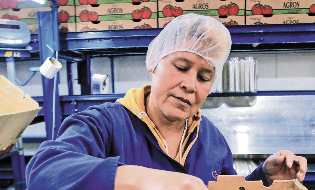 Envíos. México exporta hacia el mercado de Estados Unidos un millón 700 mil toneladas anuales con valor de 2 mil millones de dólares. ARCHIVO EL UNIVERSAL