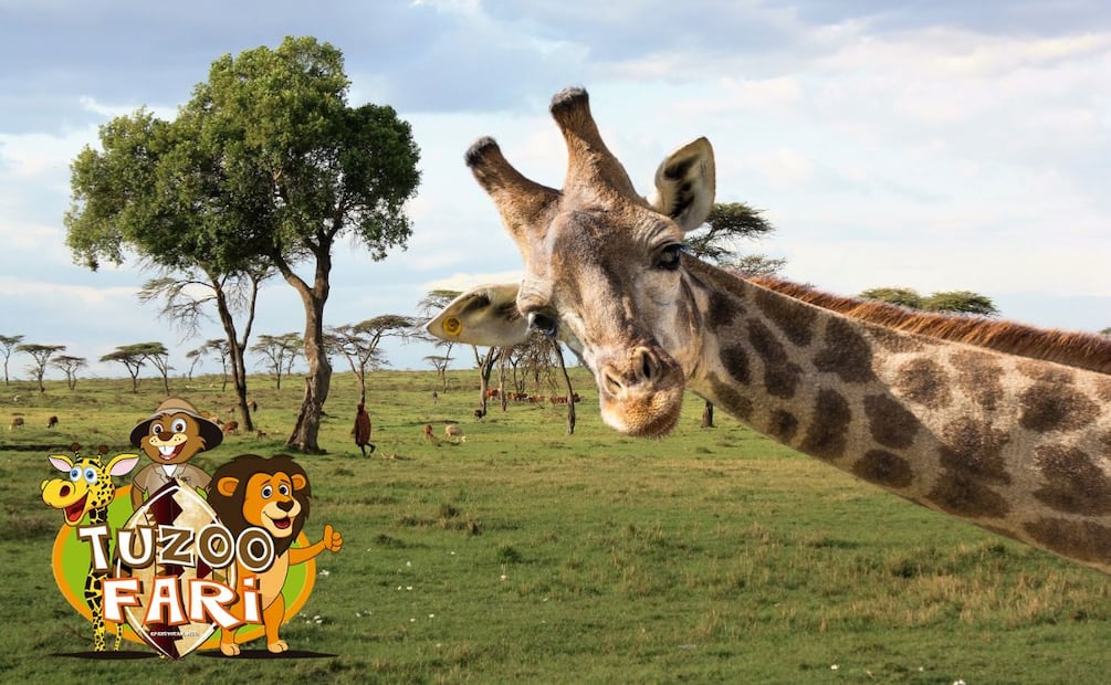 Únete a Club EL UNIVERSAL y disfruta de un 20% de descuento en TuZoofari.  |  Imagen: especial.