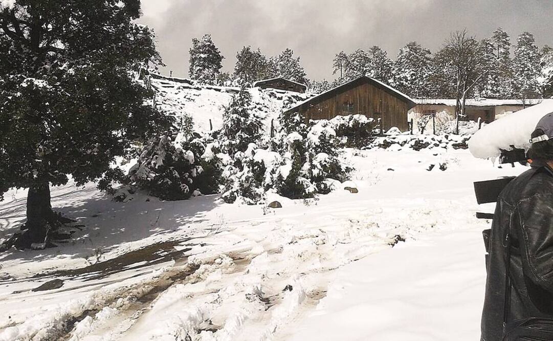 Foto: Archivo Notimex