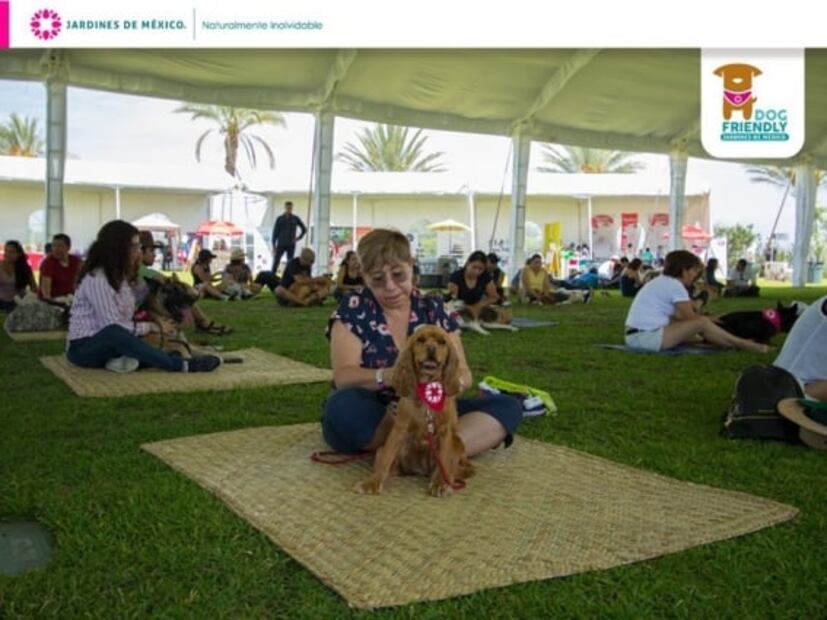 Dog Friendly, el festival para consentir a tu perro
