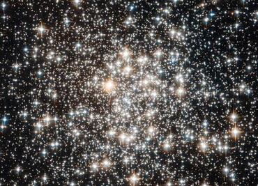 Las estrellas también guían a los animales