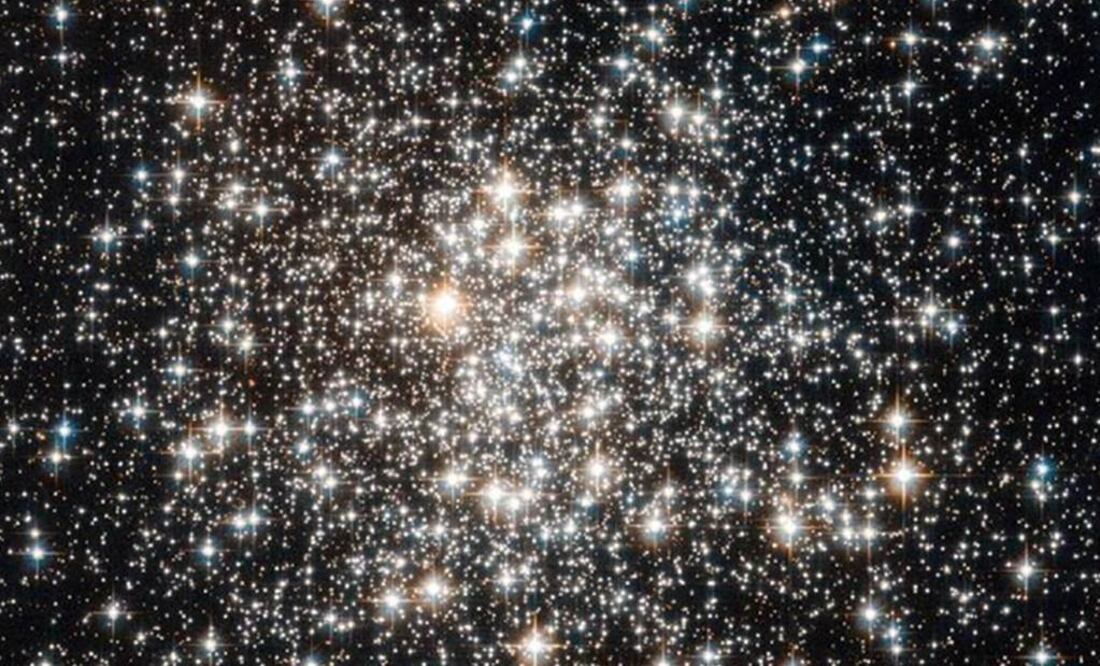 Especies animales cuentan con sistemas de navegación basados en el firmamento. Foto: Archivo