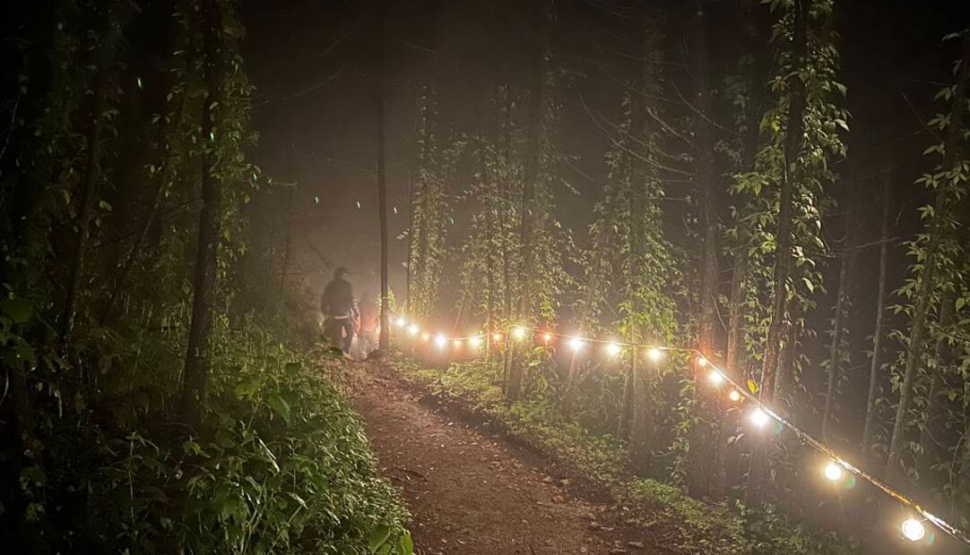 Foto: Omar Moreno. El Universal