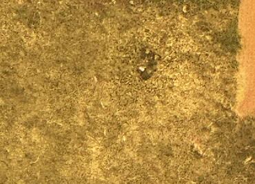 Presunta granada encontrada en Torre de Pemex podría ser de ornato, señala petrolera