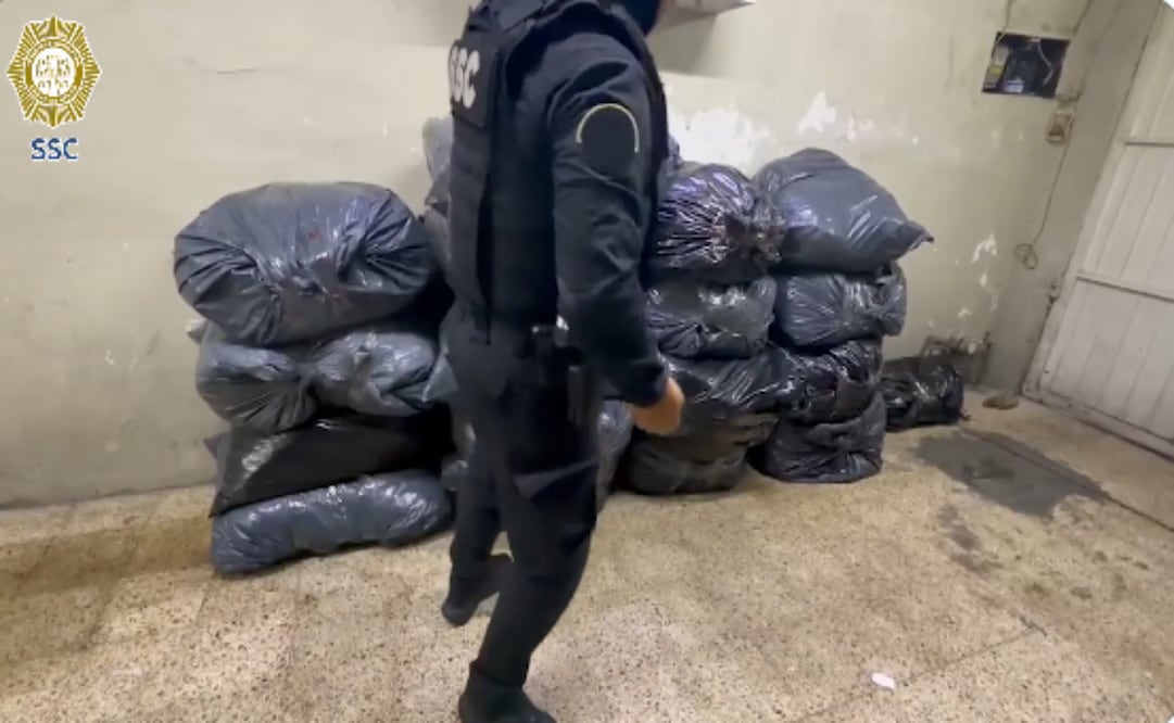 Decomisan 500 kilos de marihuana en predio en la GAM. Foto: Captura de pantalla