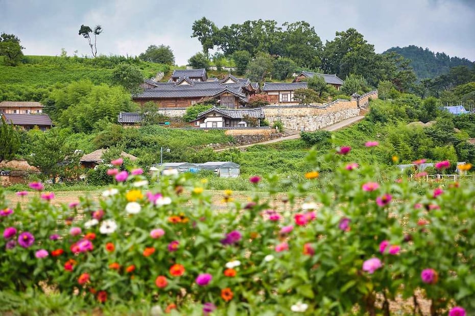 Foto: Organización de Turismo de Corea
