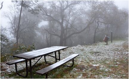 Falta de gas natural provocó apagón en Norte del país; Cenace pide a habitantes reducir uso de electricidad