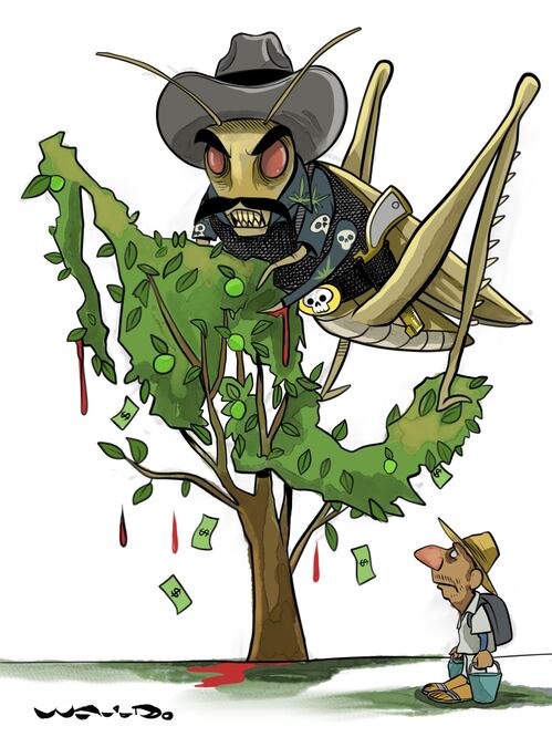 Cartón de WALDO