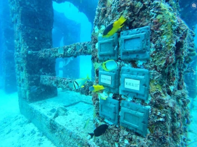 El Panteón Neptuno, conocido oficialmente en inglés como Neptune Memorial Reef (Arrecife Conmemorativo de Neptuno), es el primer cementerio submarino del mundo.