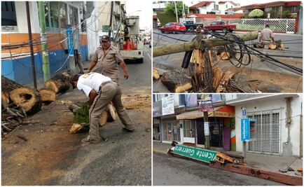 Tormenta provoca caída de árboles y corte de energía en Tabasco