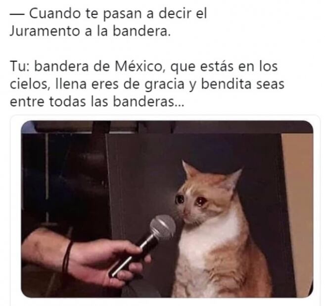 Alumno confunde el juramento a la bandera con el Padre Nuestro